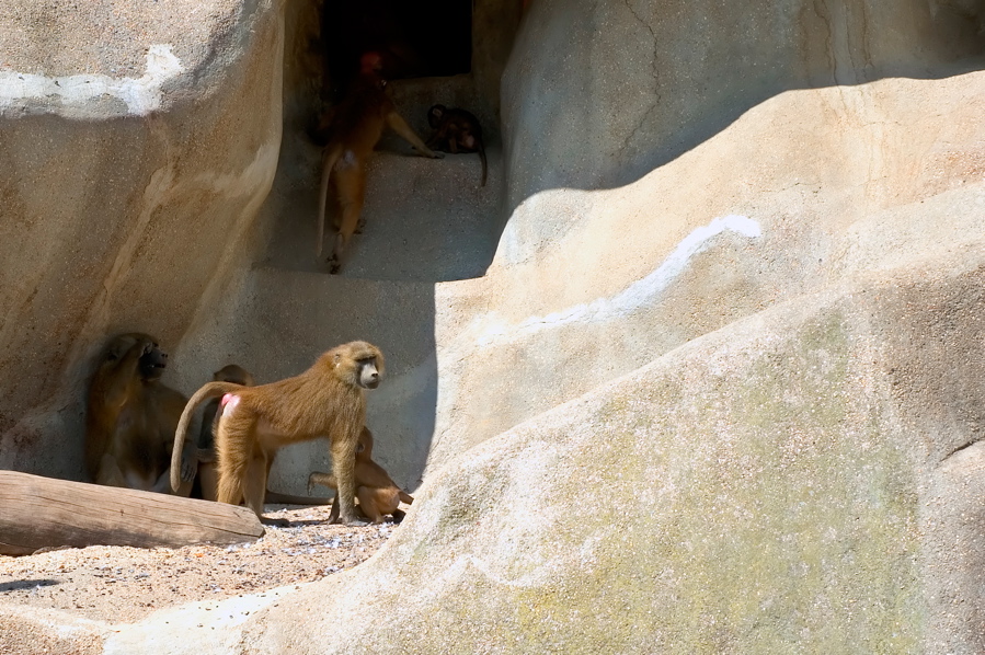 Lune de Miel - Baboon Cave